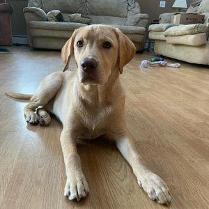 Meet your Posher, Edward